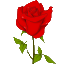 插花培训