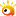 宠物宝宝
