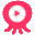 章鱼TV直播