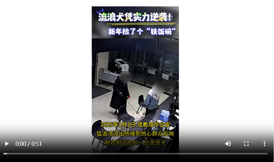 流浪狗凭实力秒入职警犬队 流浪狗凭实力秒入职警犬队