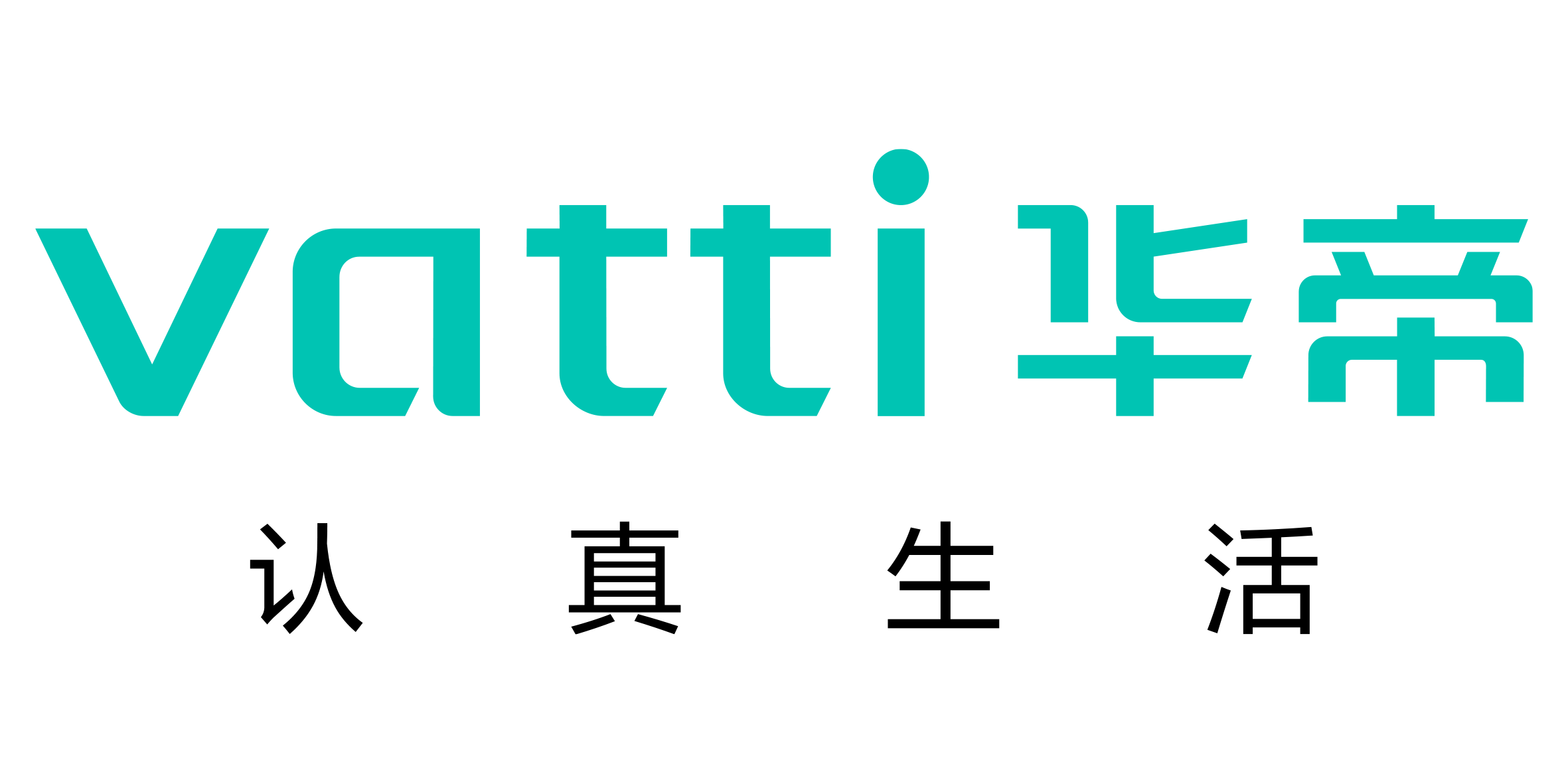 华帝Vatti