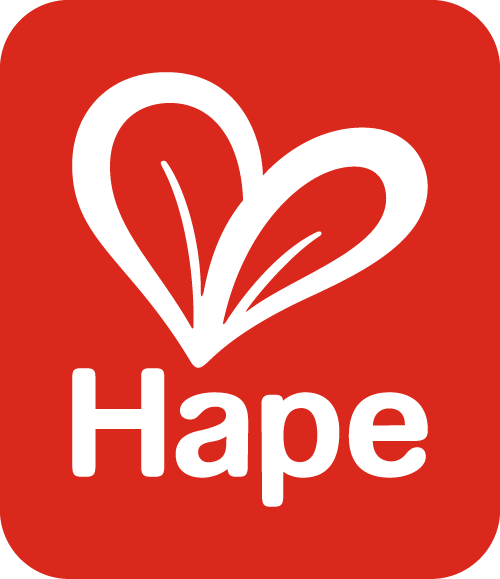 hape玩具