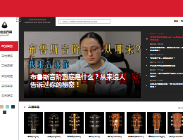 吉他世界网