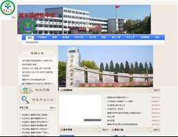 魏集中学