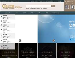进口中国网