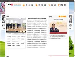 广州视窗