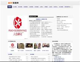 DIY自制面膜网